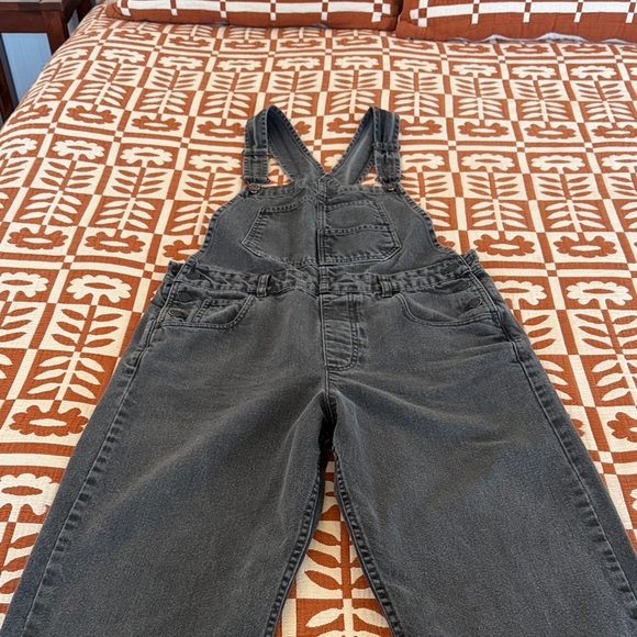 We The Free Ziggy Denim Overalls - Picture 3 of 6